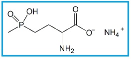 Glufosinate Ammonium